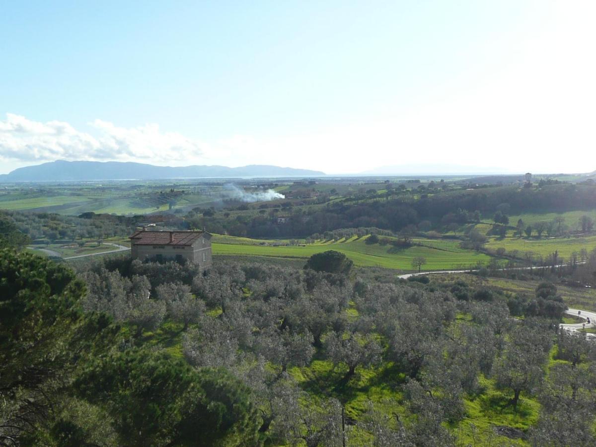 Artemisia Negli Ulivi B&B Magliano in Toscana Exterior foto