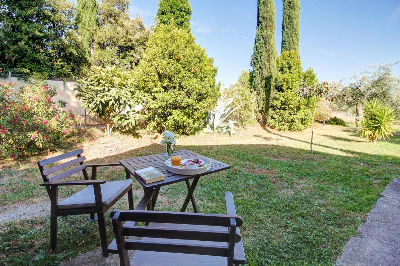 Artemisia Negli Ulivi B&B Magliano in Toscana Exterior foto